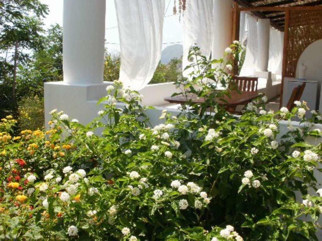 Penelope & Calypso Villa Acquacalda Room photo